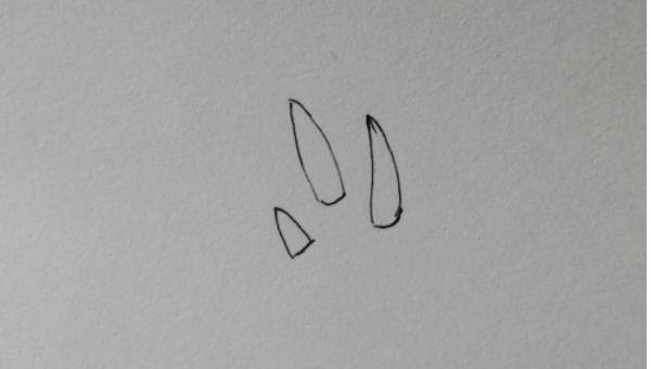 三角龙简笔画怎么画（三角龙简笔画怎么画好看）