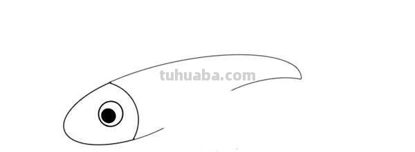 每天学一幅简笔画-飞鱼简笔画步骤图解教程