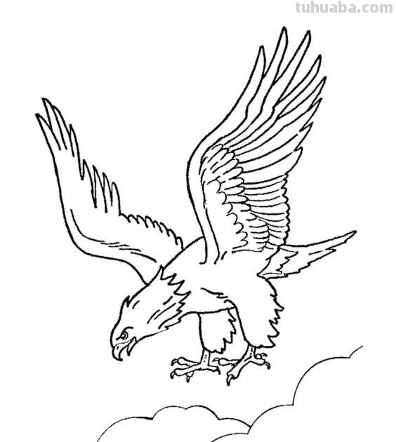 鸟儿的简笔画线稿，周末临摹