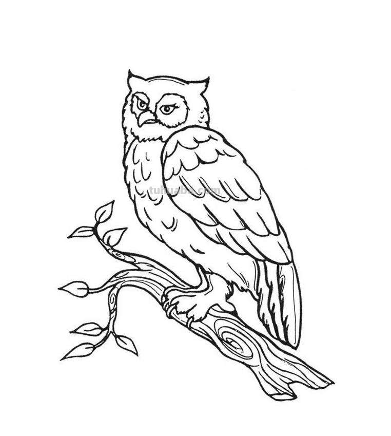 鸟儿的简笔画线稿，周末临摹