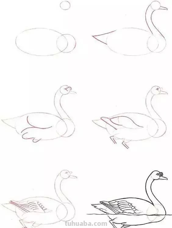 孩子想学画?你不会教?快把这30种动物简笔画让他画,保证会喜欢 孩子想学画?你不会教?快把这30种动物简笔画让他画,保证会喜欢