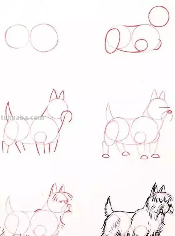 孩子想学画?你不会教?快把这30种动物简笔画让他画,保证会喜欢 孩子想学画?你不会教?快把这30种动物简笔画让他画,保证会喜欢