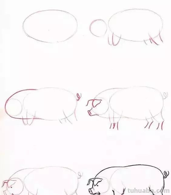 孩子想学画?你不会教?快把这30种动物简笔画让他画,保证会喜欢 孩子想学画?你不会教?快把这30种动物简笔画让他画,保证会喜欢