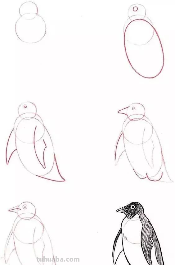 孩子想学画?你不会教?快把这30种动物简笔画让他画,保证会喜欢 孩子想学画?你不会教?快把这30种动物简笔画让他画,保证会喜欢