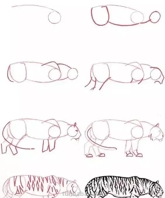 孩子想学画?你不会教?快把这30种动物简笔画让他画,保证会喜欢 孩子想学画?你不会教?快把这30种动物简笔画让他画,保证会喜欢