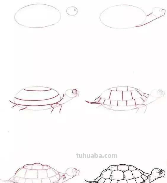 孩子想学画?你不会教?快把这30种动物简笔画让他画,保证会喜欢 孩子想学画?你不会教?快把这30种动物简笔画让他画,保证会喜欢