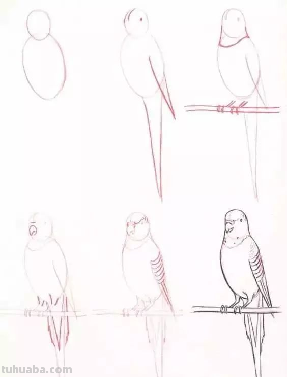 孩子想学画?你不会教?快把这30种动物简笔画让他画,保证会喜欢 孩子想学画?你不会教?快把这30种动物简笔画让他画,保证会喜欢