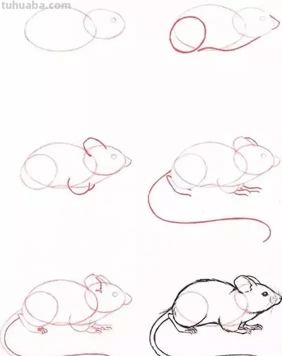 孩子想学画?你不会教?快把这30种动物简笔画让他画,保证会喜欢 孩子想学画?你不会教?快把这30种动物简笔画让他画,保证会喜欢