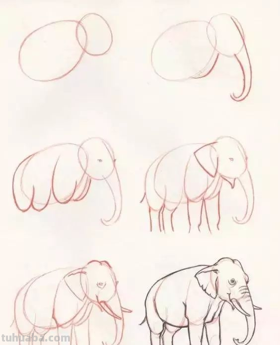 孩子想学画?你不会教?快把这30种动物简笔画让他画,保证会喜欢 孩子想学画?你不会教?快把这30种动物简笔画让他画,保证会喜欢