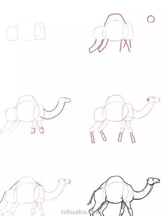 孩子想学画?你不会教?快把这30种动物简笔画让他画,保证会喜欢 孩子想学画?你不会教?快把这30种动物简笔画让他画,保证会喜欢