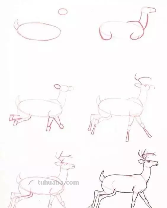 孩子想学画?你不会教?快把这30种动物简笔画让他画,保证会喜欢 孩子想学画?你不会教?快把这30种动物简笔画让他画,保证会喜欢