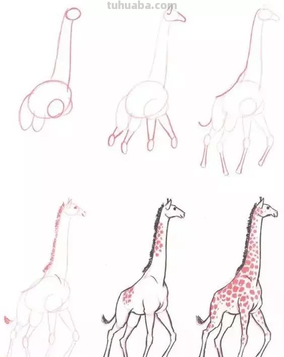 孩子想学画?你不会教?快把这30种动物简笔画让他画,保证会喜欢 孩子想学画?你不会教?快把这30种动物简笔画让他画,保证会喜欢