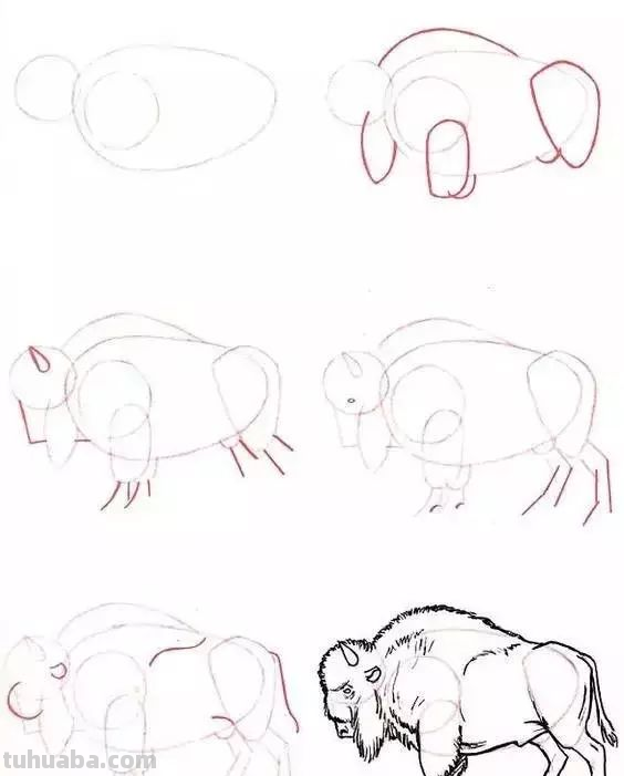 孩子想学画?你不会教?快把这30种动物简笔画让他画,保证会喜欢 孩子想学画?你不会教?快把这30种动物简笔画让他画,保证会喜欢