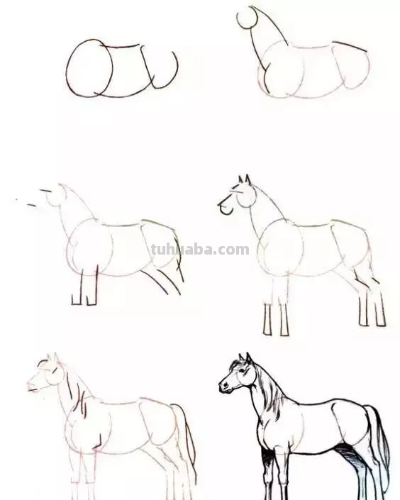 孩子想学画?你不会教?快把这30种动物简笔画让他画,保证会喜欢 孩子想学画?你不会教?快把这30种动物简笔画让他画,保证会喜欢