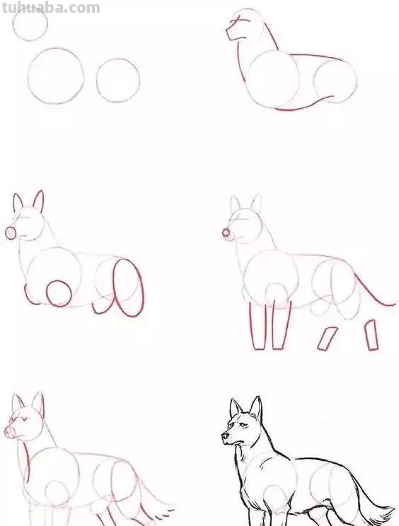 孩子想学画?你不会教?快把这30种动物简笔画让他画,保证会喜欢 孩子想学画?你不会教?快把这30种动物简笔画让他画,保证会喜欢