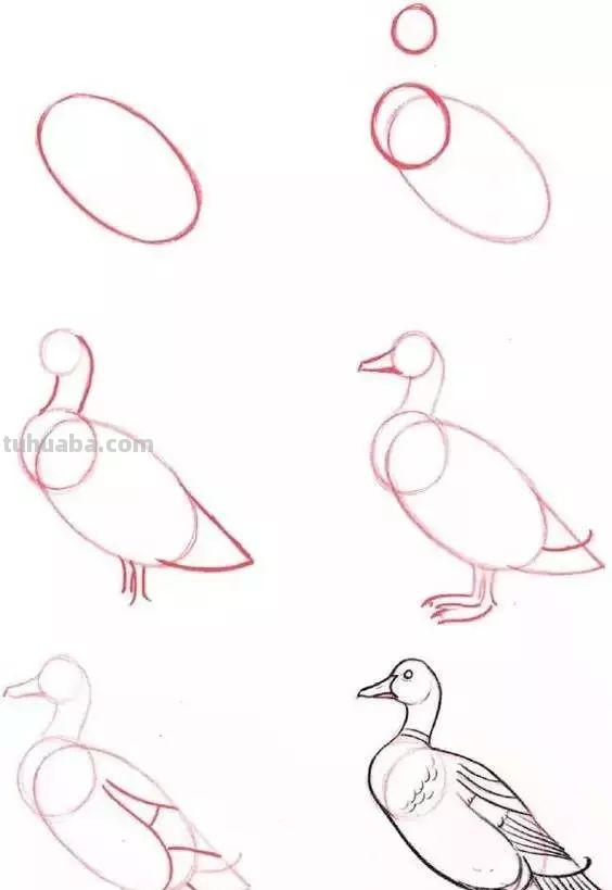 孩子想学画?你不会教?快把这30种动物简笔画让他画,保证会喜欢 孩子想学画?你不会教?快把这30种动物简笔画让他画,保证会喜欢