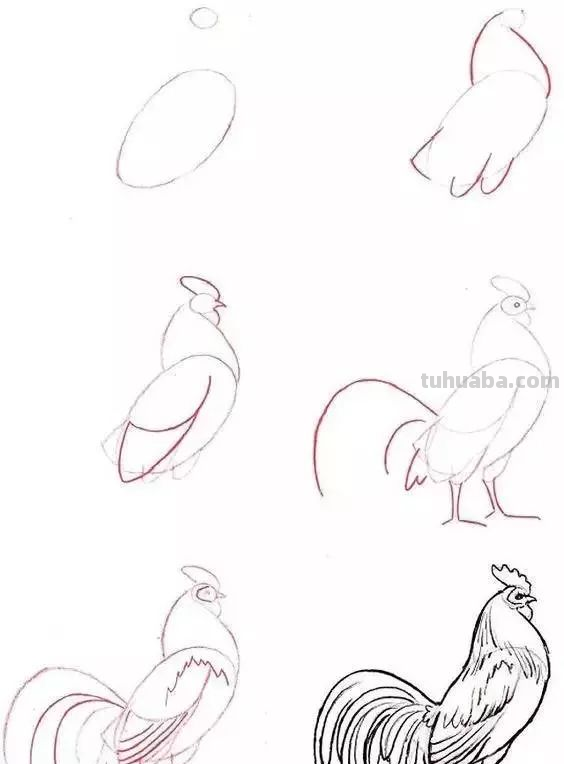 孩子想学画?你不会教?快把这30种动物简笔画让他画,保证会喜欢 孩子想学画?你不会教?快把这30种动物简笔画让他画,保证会喜欢