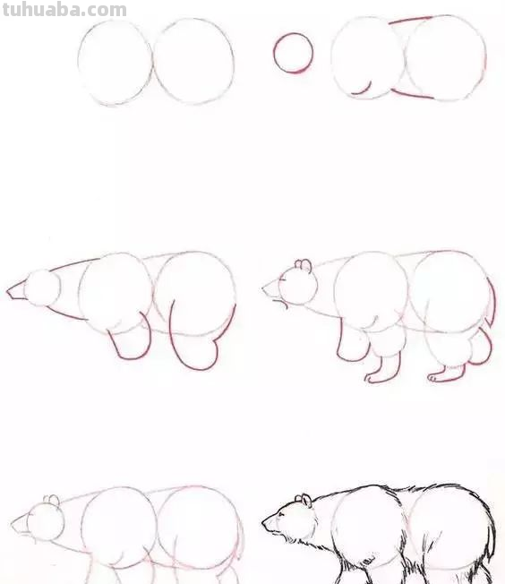 孩子想学画?你不会教?快把这30种动物简笔画让他画,保证会喜欢 孩子想学画?你不会教?快把这30种动物简笔画让他画,保证会喜欢