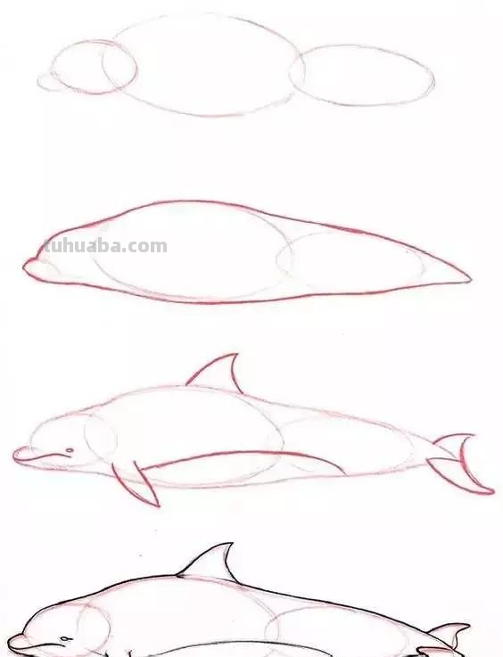 孩子想学画?你不会教?快把这30种动物简笔画让他画,保证会喜欢 孩子想学画?你不会教?快把这30种动物简笔画让他画,保证会喜欢