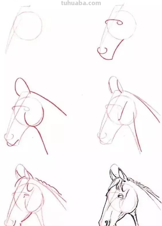 孩子想学画?你不会教?快把这30种动物简笔画让他画,保证会喜欢 孩子想学画?你不会教?快把这30种动物简笔画让他画,保证会喜欢