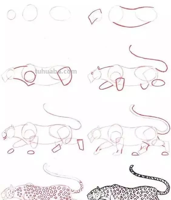 孩子想学画?你不会教?快把这30种动物简笔画让他画,保证会喜欢 孩子想学画?你不会教?快把这30种动物简笔画让他画,保证会喜欢