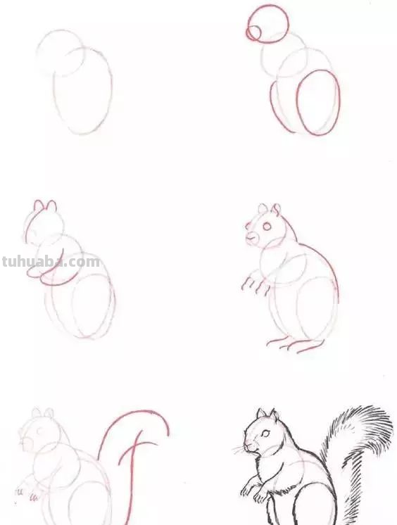 孩子想学画?你不会教?快把这30种动物简笔画让他画,保证会喜欢 孩子想学画?你不会教?快把这30种动物简笔画让他画,保证会喜欢