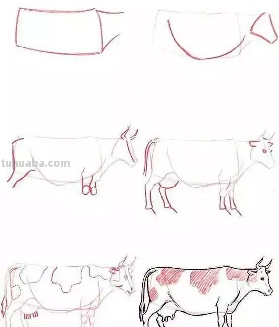 孩子想学画?你不会教?快把这30种动物简笔画让他画,保证会喜欢 孩子想学画?你不会教?快把这30种动物简笔画让他画,保证会喜欢