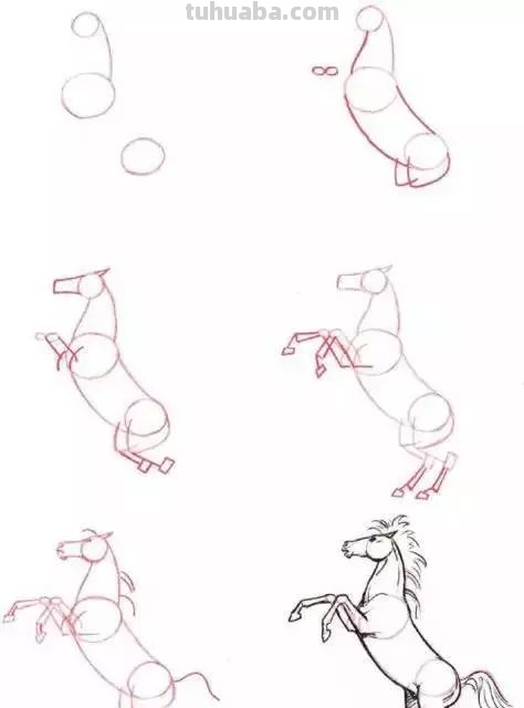 孩子想学画?你不会教?快把这30种动物简笔画让他画,保证会喜欢 孩子想学画?你不会教?快把这30种动物简笔画让他画,保证会喜欢