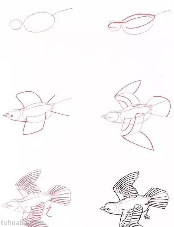 孩子想学画?你不会教?快把这30种动物简笔画让他画,保证会喜欢 孩子想学画?你不会教?快把这30种动物简笔画让他画,保证会喜欢