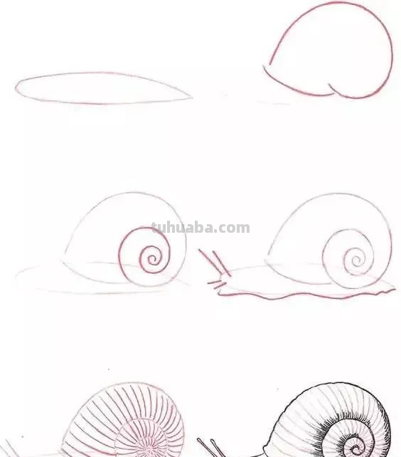 孩子想学画?你不会教?快把这30种动物简笔画让他画,保证会喜欢 孩子想学画?你不会教?快把这30种动物简笔画让他画,保证会喜欢