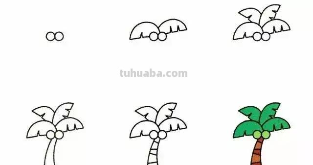 9种植物简笔画小教程，一学就会！