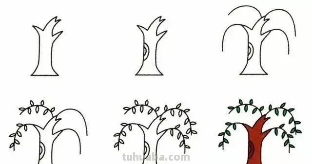 9种植物简笔画小教程，一学就会！