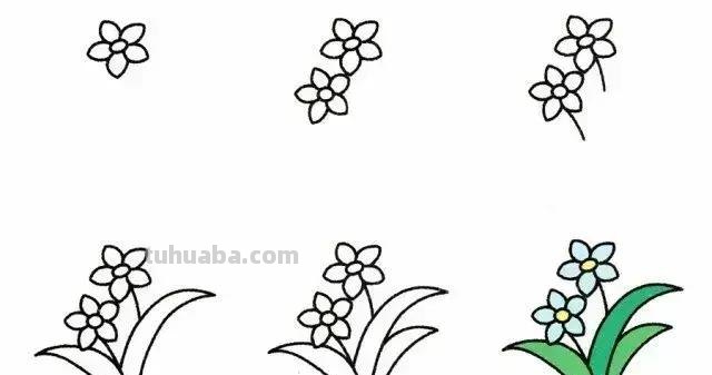 9种植物简笔画小教程，一学就会！