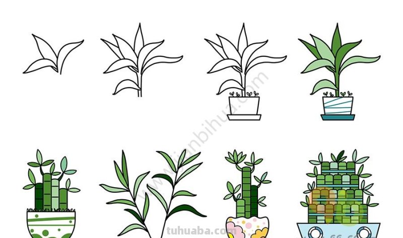 常用的植物简笔画，简单明了很清新~