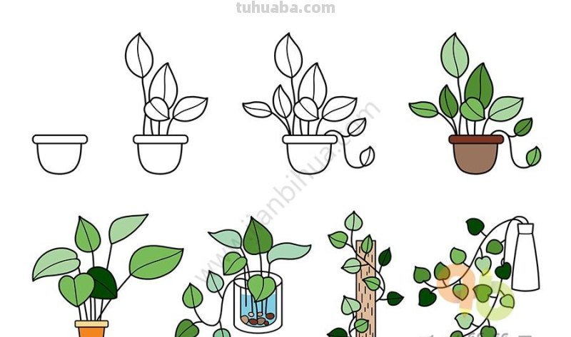 常用的植物简笔画，简单明了很清新~