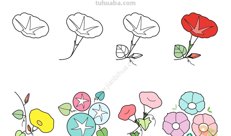 常用的植物简笔画，简单明了很清新~