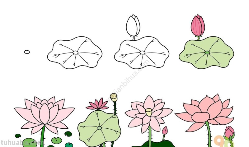 常用的植物简笔画，简单明了很清新~