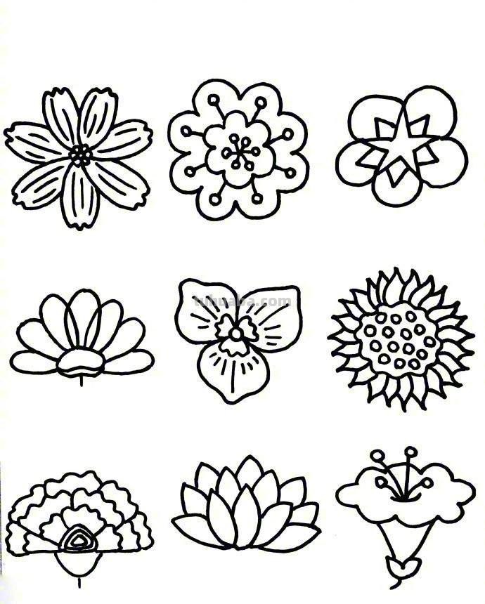 81种花卉绿植简笔画素材
