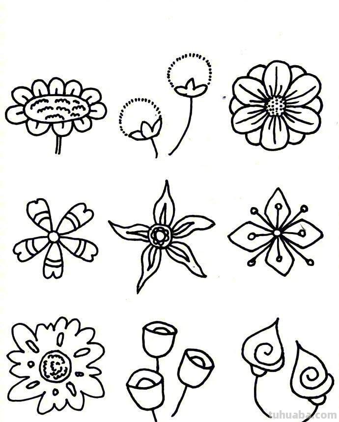81种花卉绿植简笔画素材