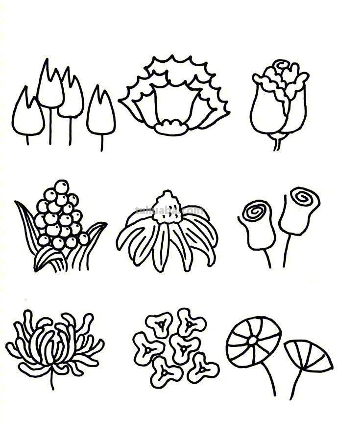 81种花卉绿植简笔画素材