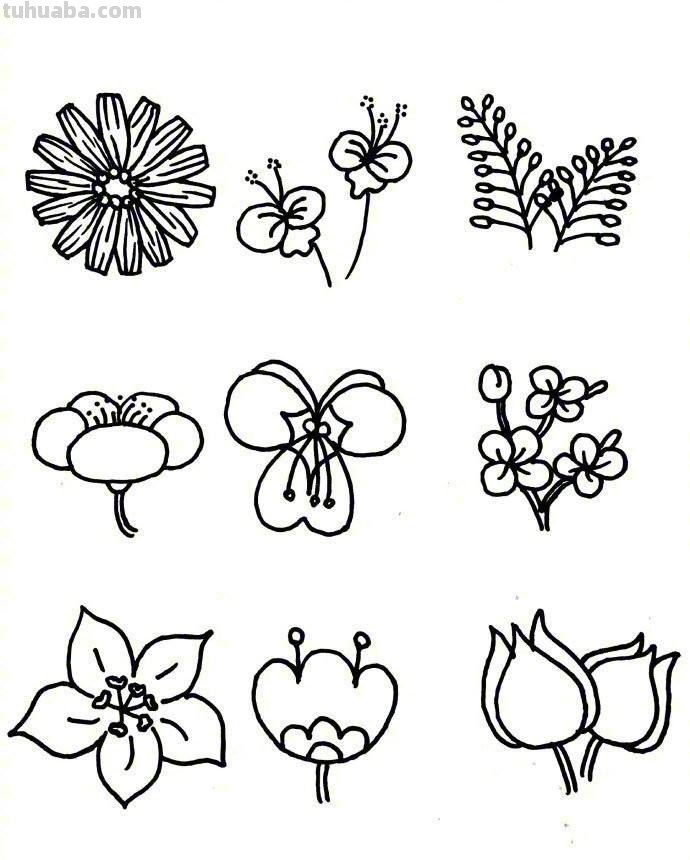 81种花卉绿植简笔画素材