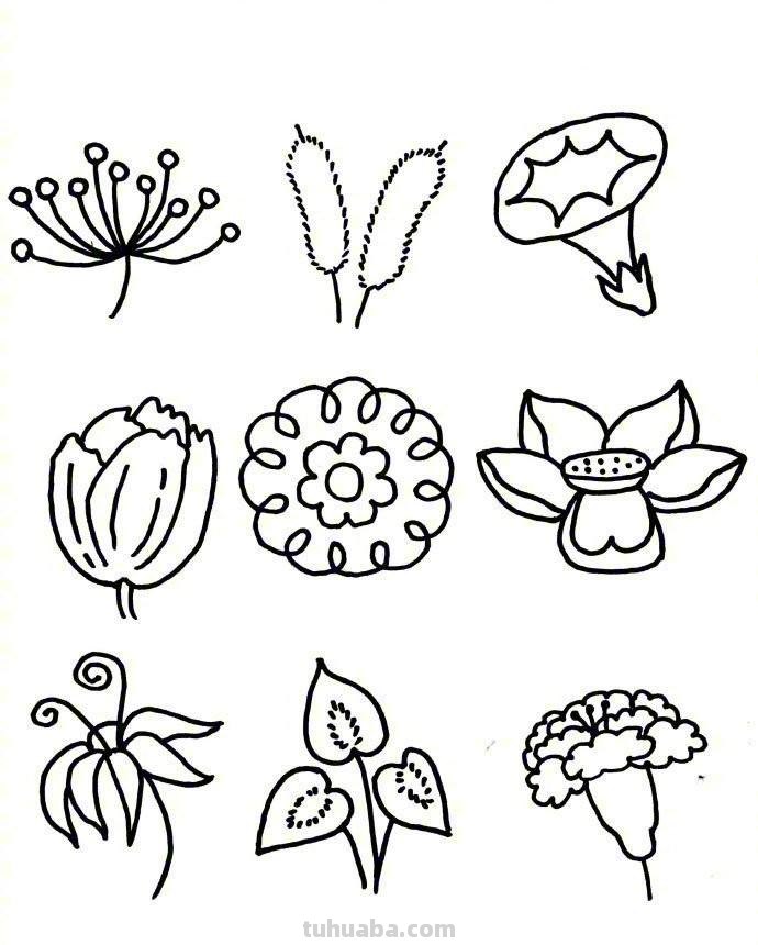81种花卉绿植简笔画素材