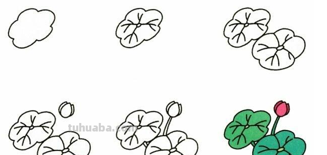 19种植物简笔画小教程，宝妈妈们的亲子活动素材~