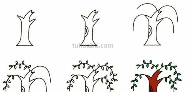 19种植物简笔画小教程，宝妈妈们的亲子活动素材~