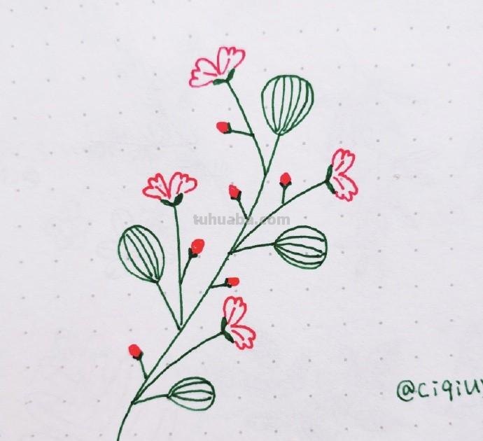 简单实用的花叶植物简笔画手帐素材~收藏备用哦