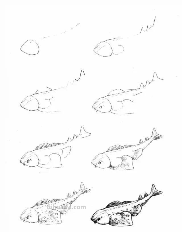 50个海洋生物的简笔画教程，珍藏版！