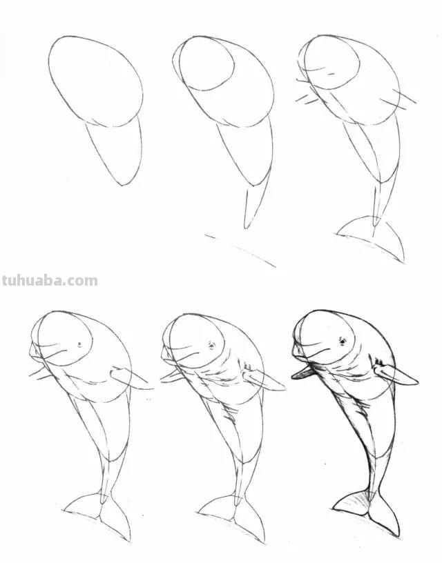 50个海洋生物的简笔画教程，珍藏版！