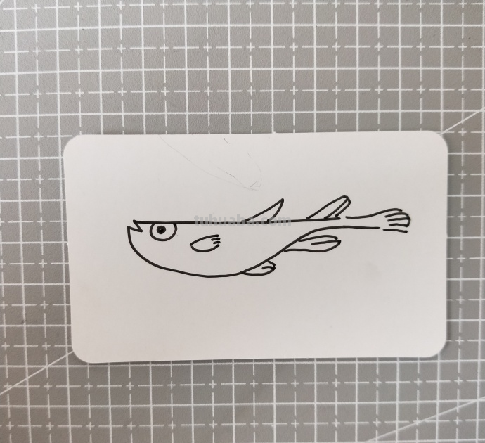 小鱼小虾米简笔画~海底世界