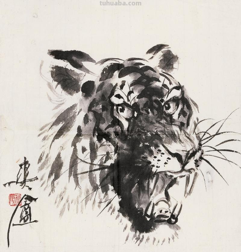 工笔虎的基本画法及临摹线描手稿