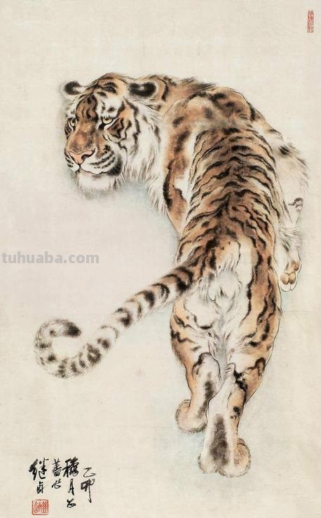 工笔虎的基本画法及临摹线描手稿